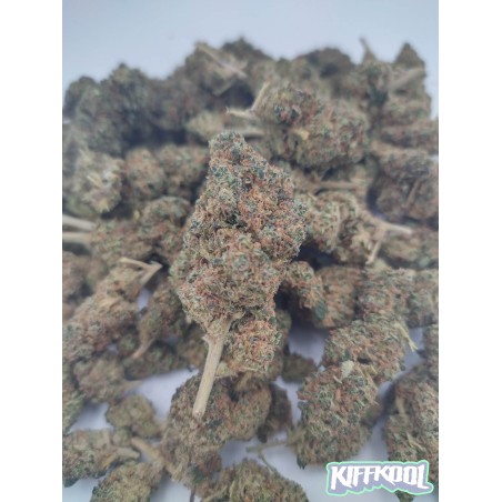 Blueberry D9-THC Premium