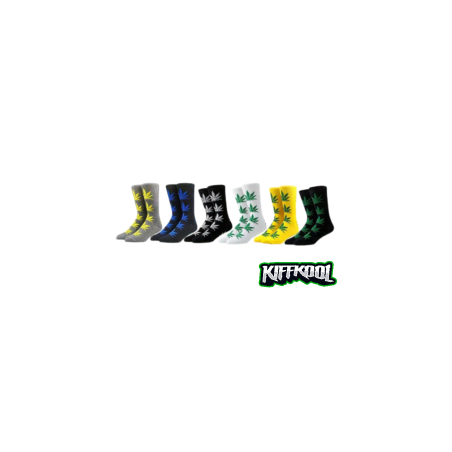 Lot de 6 paires de chaussettes